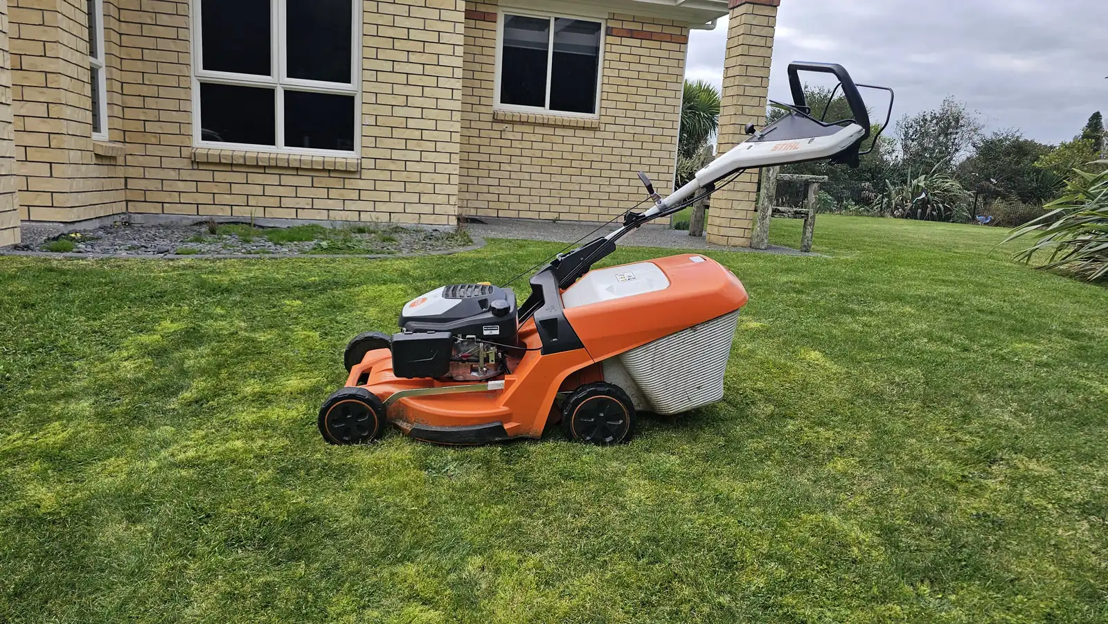 Why Hamilton Lawns Get Moss (And How To Get Rid Of It)