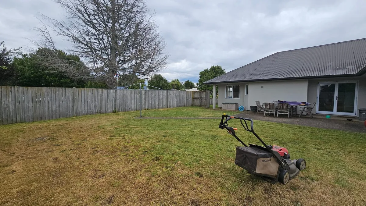 A mower on a Hamilton backyard lawn going dry and patchy in summer, beside a paling fence and a patio