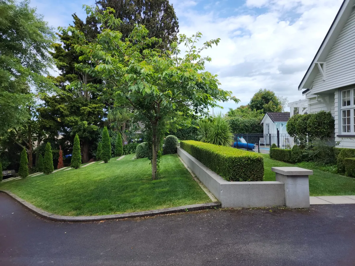 A mown sloping front lawn beside a white villa, with a clipped hedge, a young tree and a driveway in front
