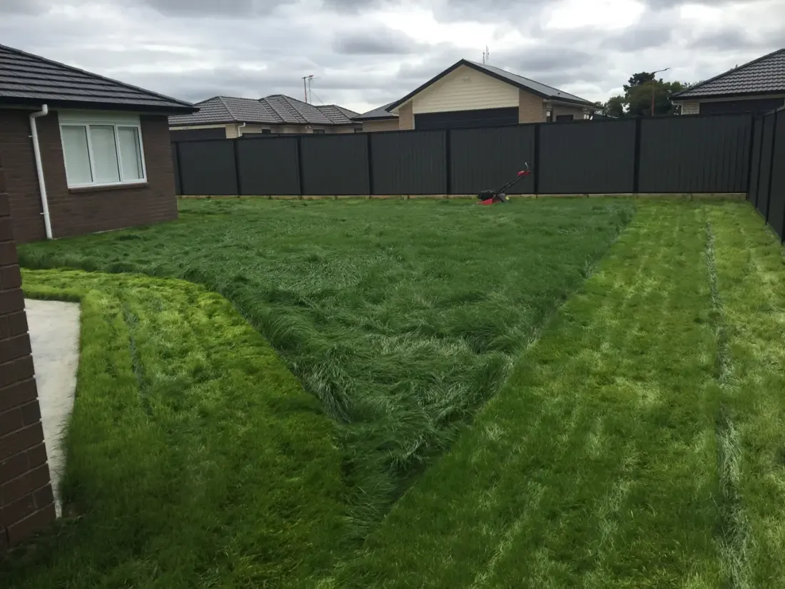 How Often Should You Mow Your Lawn in Spring?